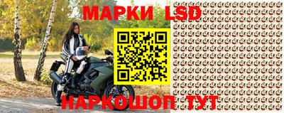 МДПВ Рыбинск